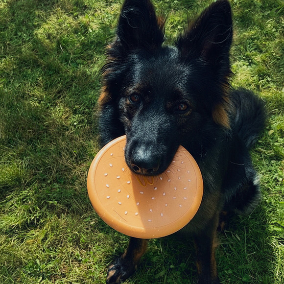 フランスのマクドナルドが発表した世界初の犬用マックトイコレクション「Happy Doggy」の画像