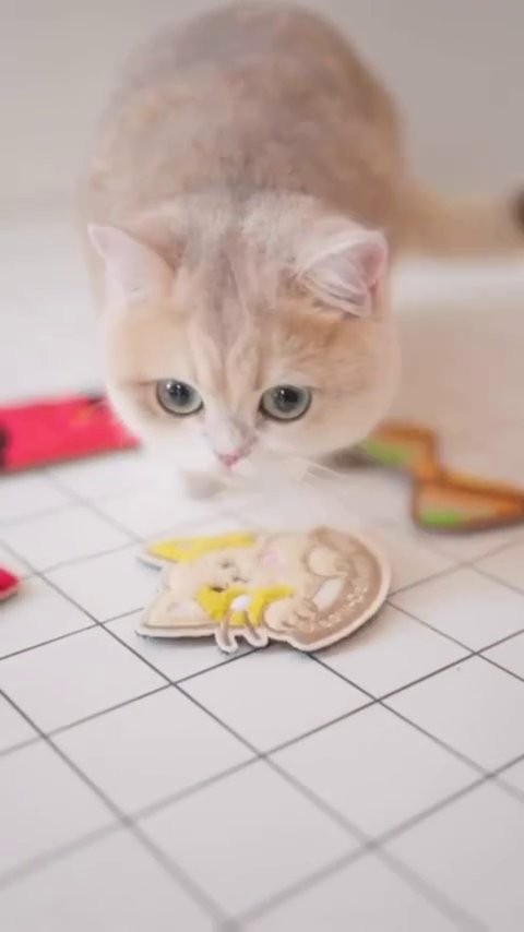 マクドナルド・シンガポールが発売した、ブランド史上初となるペット用プレイバッグ「Happy Meow Bag」の画像。