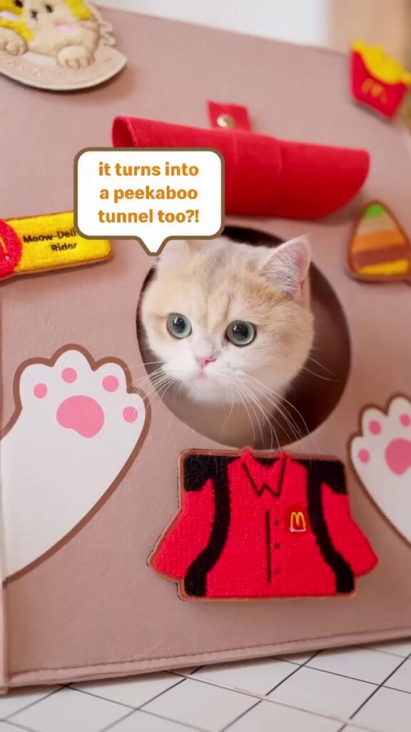 マクドナルド・シンガポールが発売した、ブランド史上初となるペット用プレイバッグ「Happy Meow Bag」の画像。