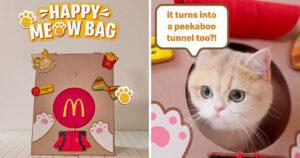 マクドナルド・シンガポールが発売した、ブランド史上初となるペット用プレイバッグ「Happy Meow Bag」の画像。